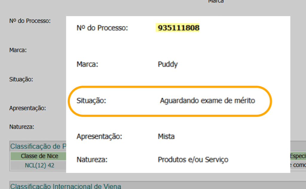 imagem situacao da marca PPPI Como Realizar Consulta no INPI Passo a Passo: 6 Passos Simples